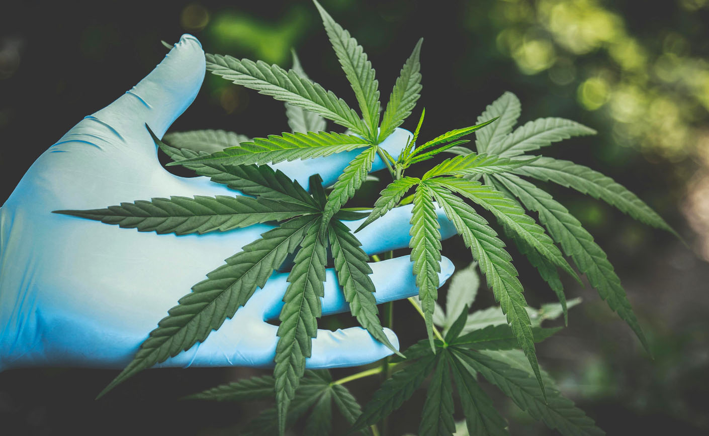 Est-il légal d’acheter du CBD en France ?
